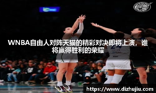 WNBA自由人对阵天猫的精彩对决即将上演，谁将赢得胜利的荣耀